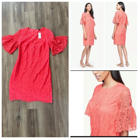 ANN TAYLOR Coral Pink Lace Ruffle Bell Sleeve Dres - Picture 1 of 14